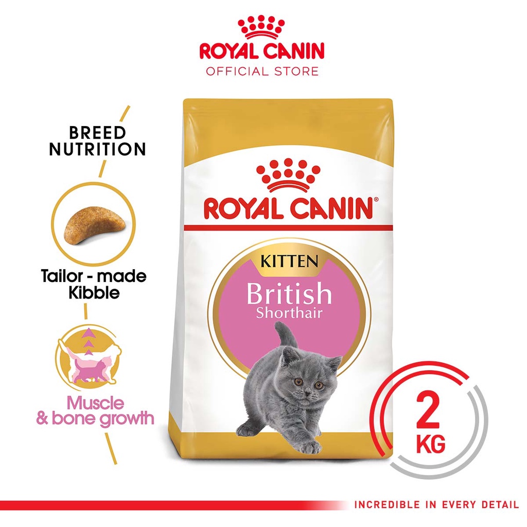 Royal Canin British Shorthair Kitten 2kg Cat Dry Food Makanan Anak Kucing 2 kg - Feline Breed Nutrition
