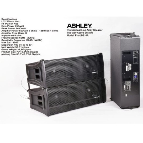Speaker Line Array Ashley Pro Db210 A 1Pcs 2Way Aktif 10 Inch Original Active Db 210 Db210a ( Bayar 