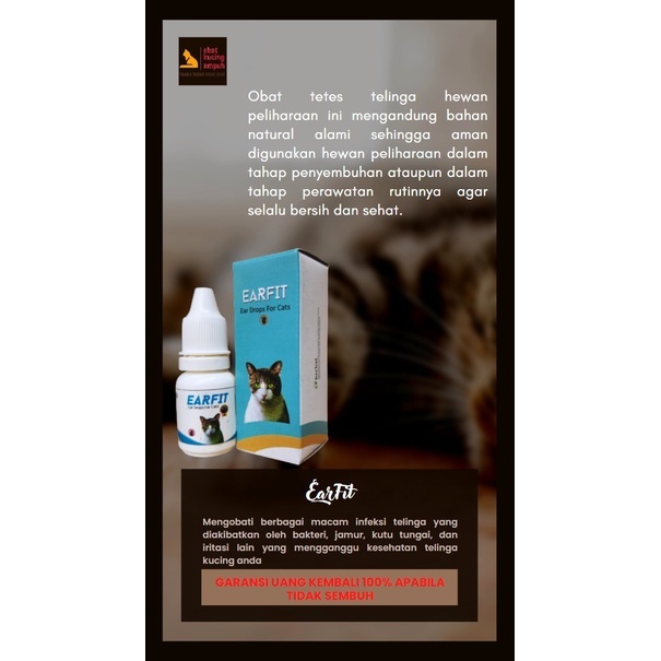 OBAT KUCING AMPUH TELINGA BERNANAH KUCING VICOCAT EARFIT