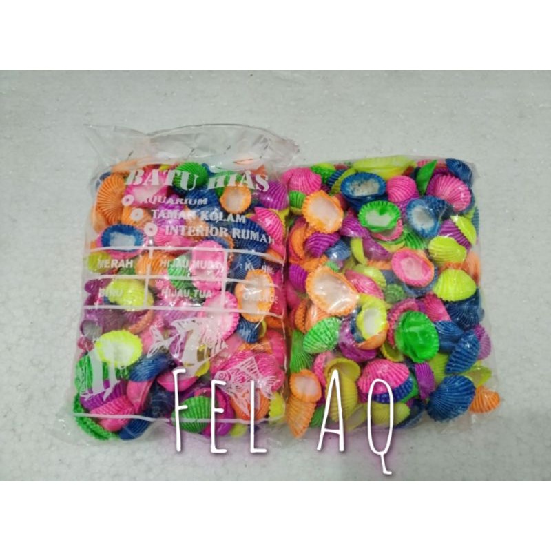 Kerang Hias Fosfor Per Pack Kerang Laut Hiasan Aquarium Aquascape