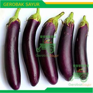 

Sayur Terong Ungu 500 g