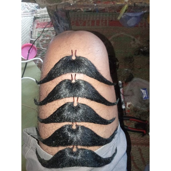 jebres temanggungan /kumis jaranan /brengos kuda lumping