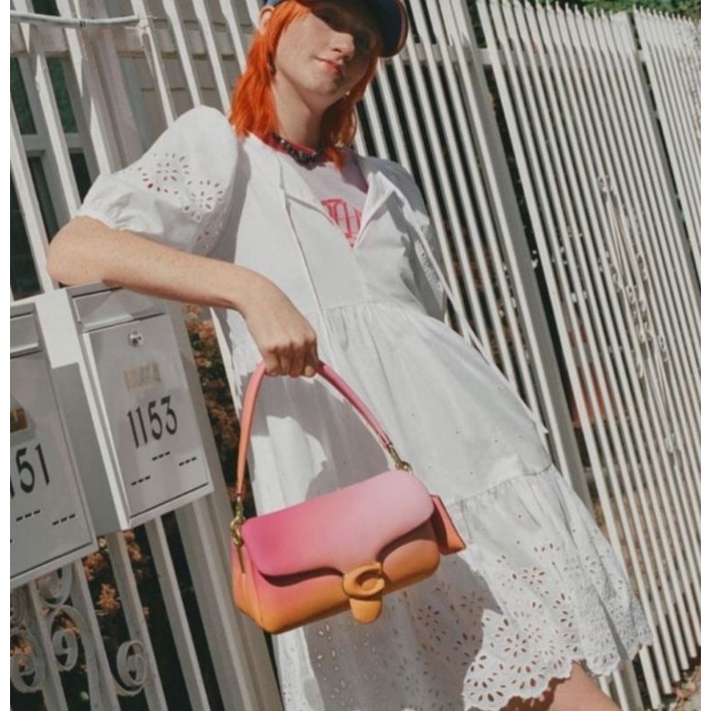 (EPLUNASAN PO) Tabby pillow 26 ombre