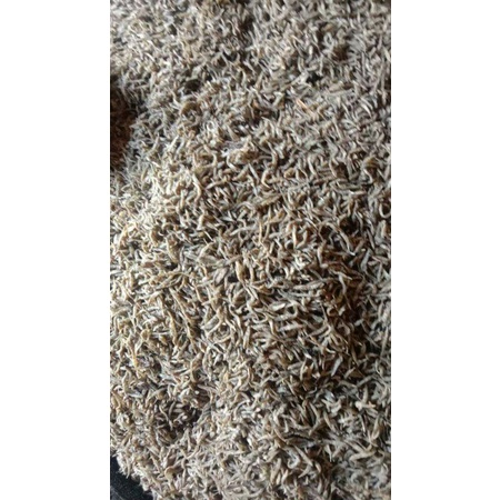 

Ikan Penja 250 gram