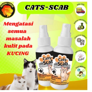 Obat Anti Jamur Tungau Gatal Kerak Kucing Cats -Scab infeksi Kucing scabies Cats