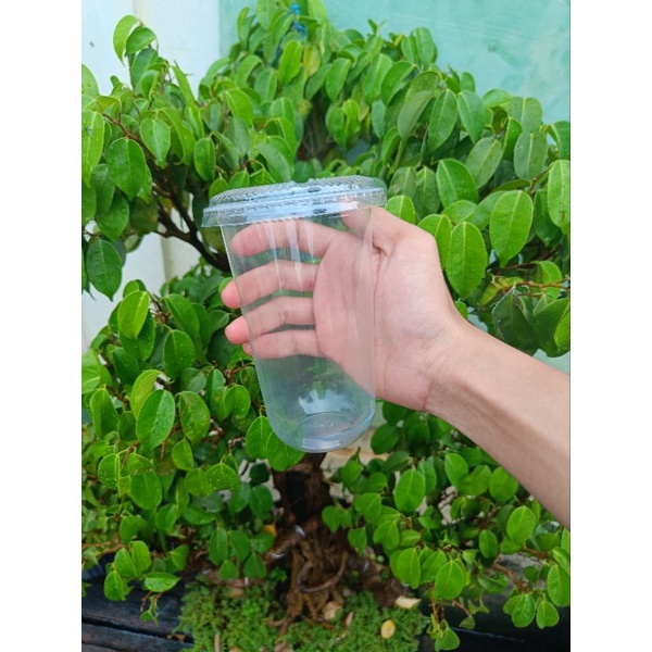 GELAS PLASTIK CUP PP 18OZ OVAL + TUTUP DATAR