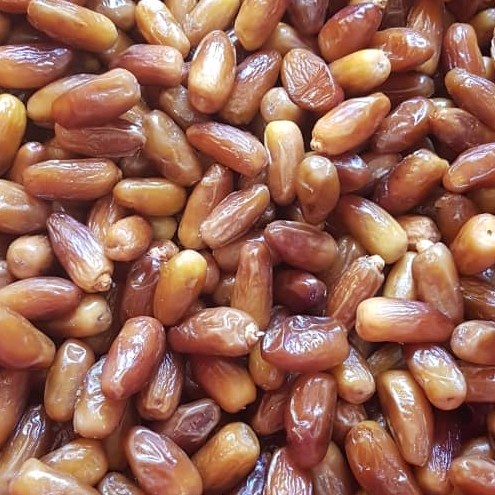

kurma muda ruthob 1 kg/ kurma muda murah