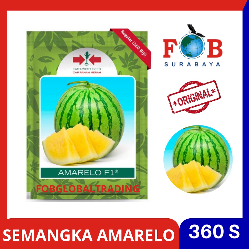 BENIH SEMANGKA KUNING AMARELO 360 BUTIR PANAH MERAH