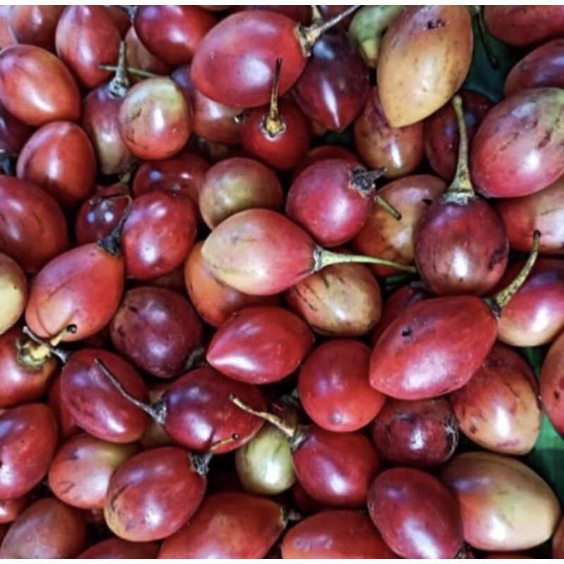 

Terong Belanda Termurah dikota medan 1kg