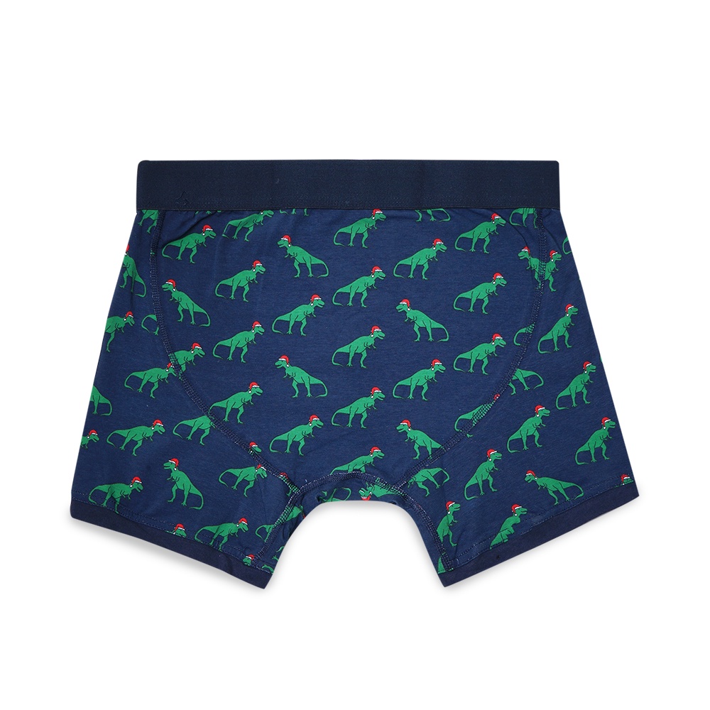 Aeropostale Logo Knit Boxer Brief