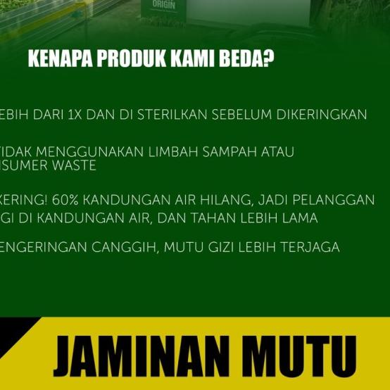 Maggot Nusantara Koi 500 Gr