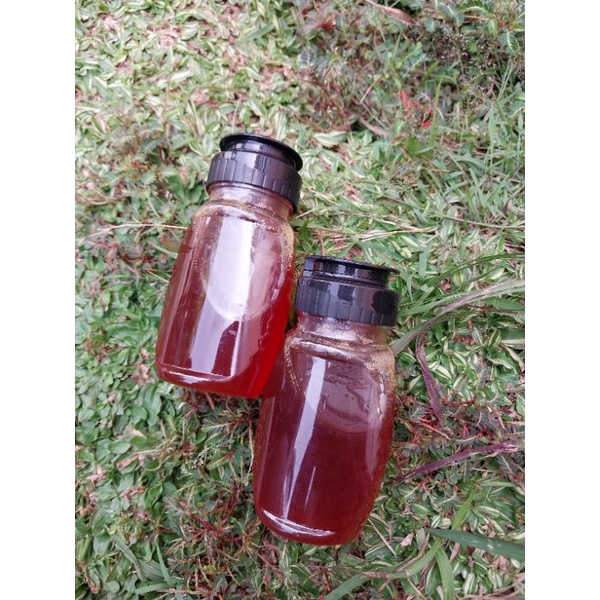 madu asli klanceng 100ml
