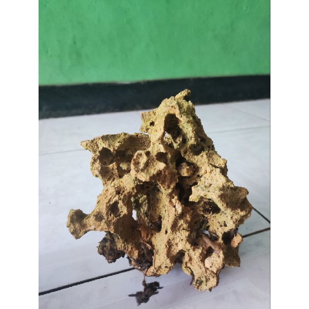 batu aquascape/batu karang gunung