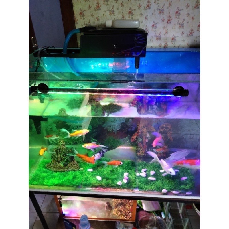 Lampu LED Aquarium Ikan Celup Gaxindo 50 CM 500mm 9 Watt 9W