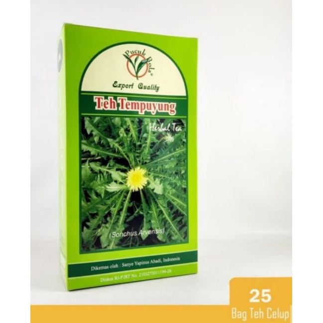 Teh tempuyung obat batu ginjal empedu