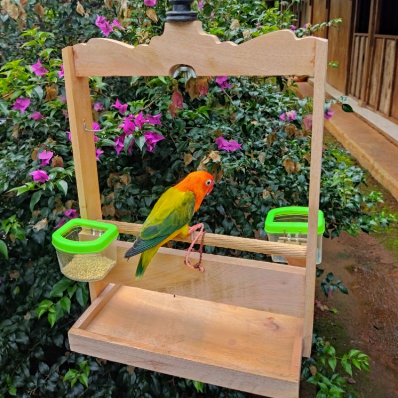 Jual Sangkar Lovebird Layang Kandang Tangkringan Burung Lovebird Shopee Indonesia 3001