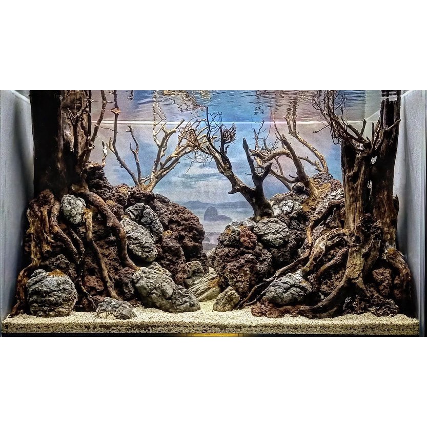 Nickz aquascape dekorasi fullset natural 60cm