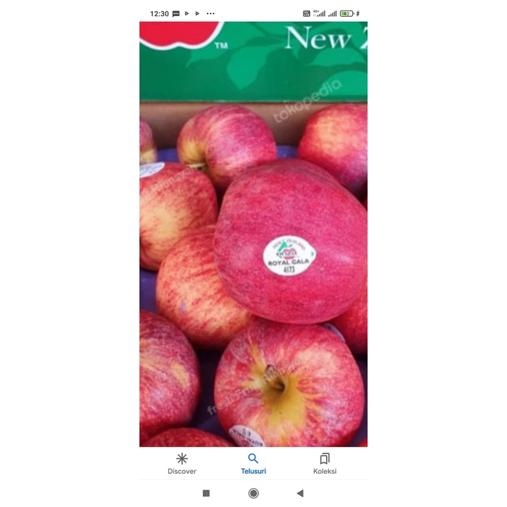 

Buah Apel Royal Gala Kualitas Premium 1kg