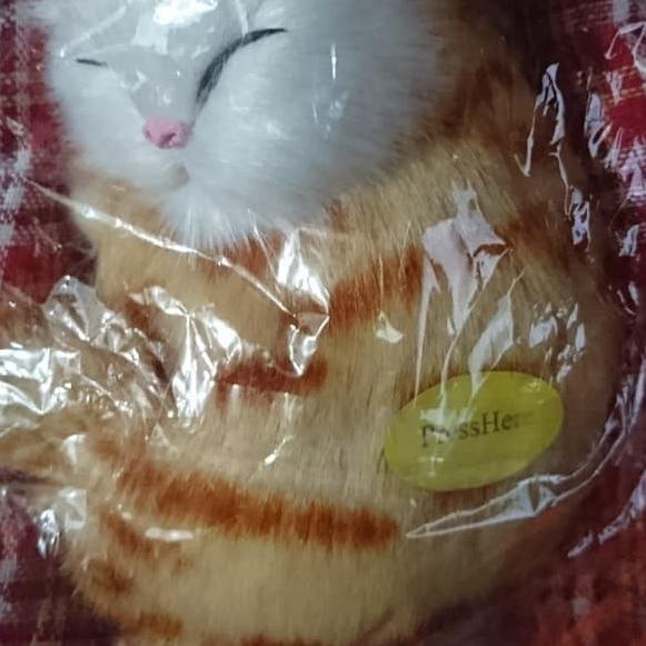 Mainan Boneka Kucing Tidur Simulasi Dengan Suara - putih hitam