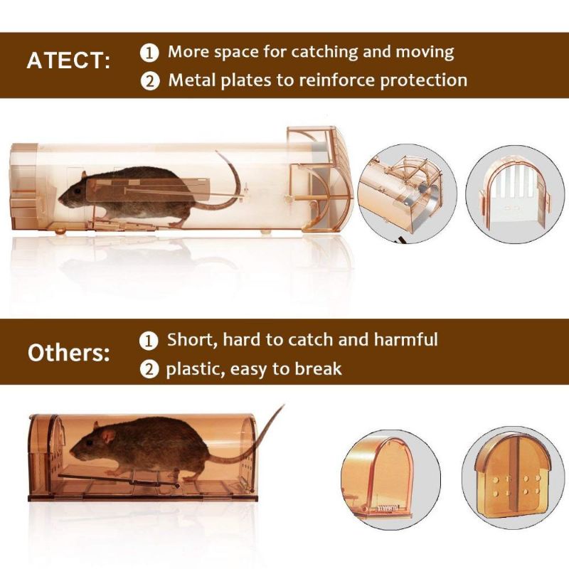 Jebakan Perangkap Tikus Mouse Trap Cage