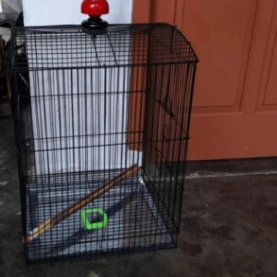 kandang burung besi lipat gantung