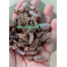 

Baby cumi grade A 1kg