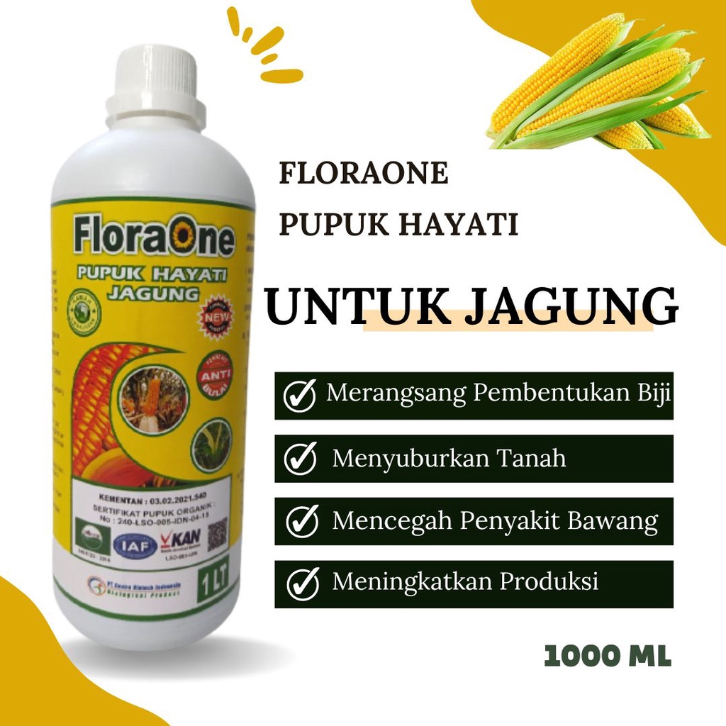 Pupuk Hayati Floraone, Pupuk Jagung Masa Generatif, Obat Jagung Daun Putih