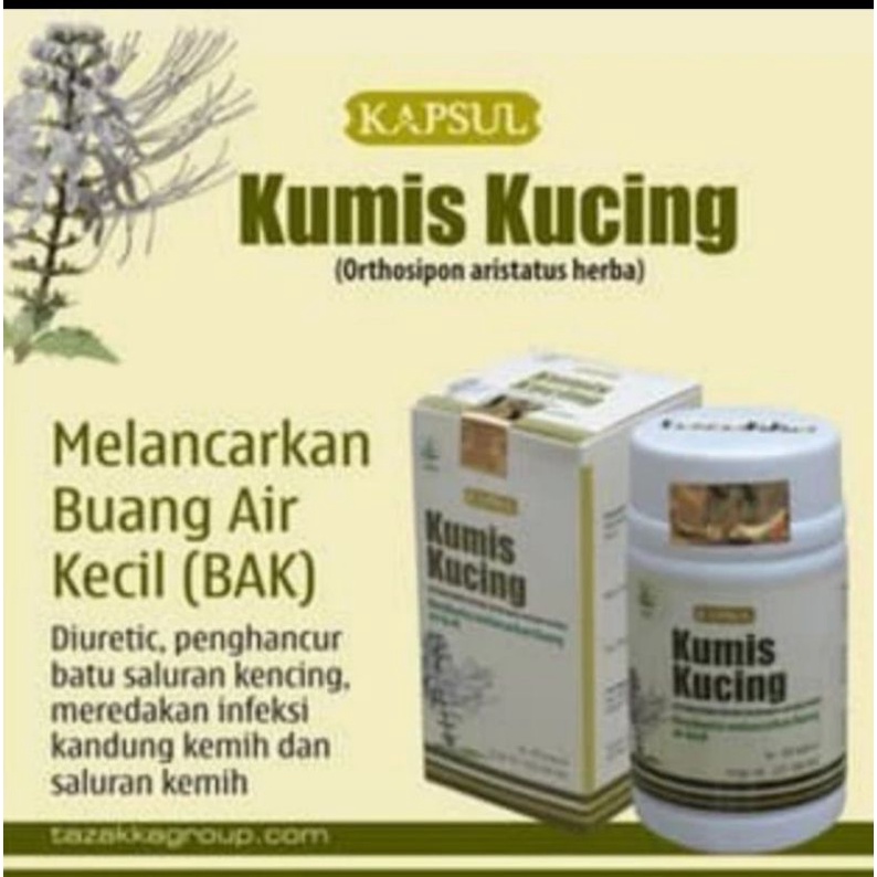 Kapsul Kumis Kucing Tazakka isi 60 kapsul original