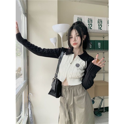 Jaket Sweater Ritsleting Gaya Amerika Wanita Musim Gugur Baru Slim Rajutan Cardigan Bawahan Atasan Lengan Panjang