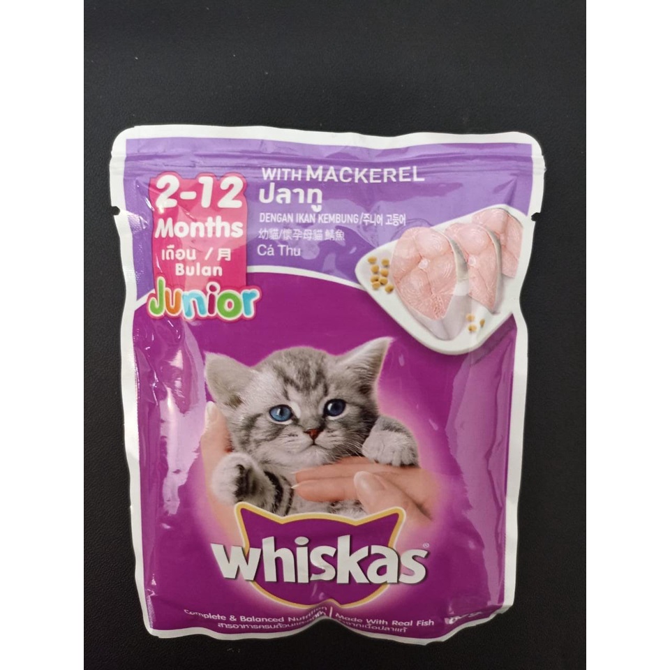 makanan kucing/makanan bayi kucing/pakan hewan/maknan basah