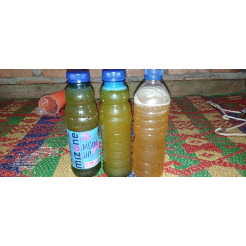 

madu asli