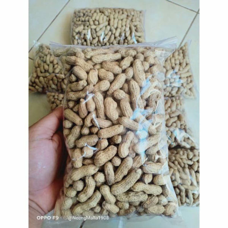 

KACANG OVEN, KACANG GORENG, KACANG ASIN OVEN, KACANG KULIT, 500gr