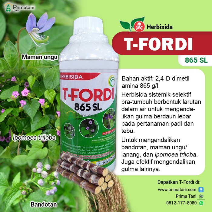 Herbisida T-FORDI 865 SL 400ml