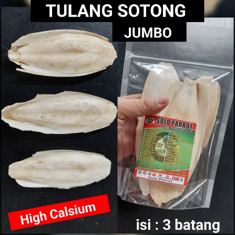 Tulang Sotong Cangkang Asinan Cumi Jumbo untuk Burung