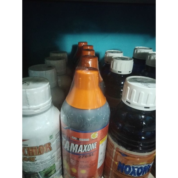 HERBISIDA TAMAXONE 276 SL PEMBASMI RUMPUT GULMA 500 ML