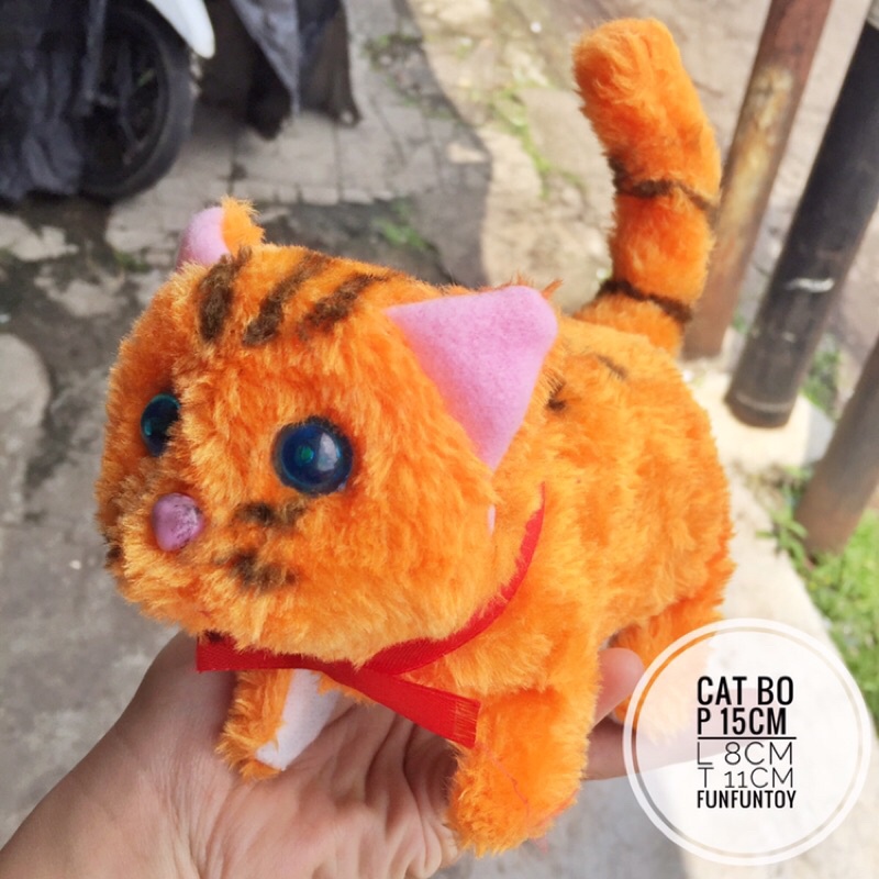 mainan anak kucing bisa jalan