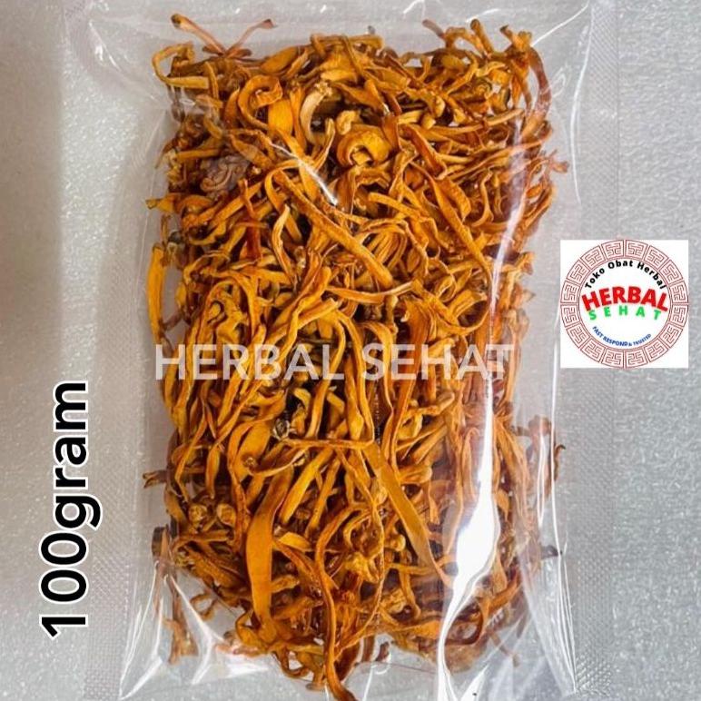 

PRODUK- CHONG CAO HUA 100GR / CORDYCEPS FLOWER / JAMUR BUNGA CORDYCEPS / CORDYCEPS .
