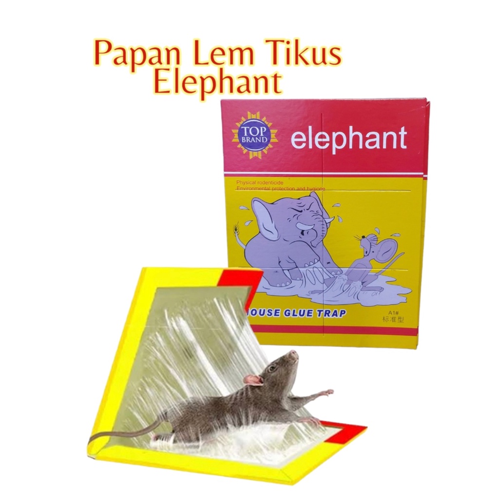 PAPAN LEM TIKUS AMPUH / PERANGKAP LEM TIKUS