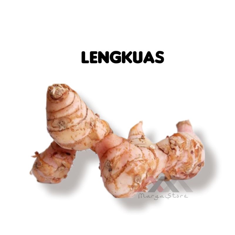 

Lengkuas Segar 1Kg Laja Lengkoas