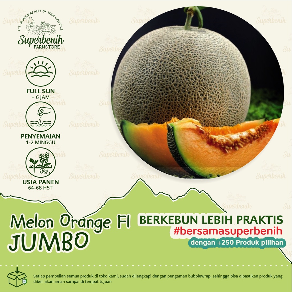 3 Biji - Benih Melon orange MERLIN F1 dan JUMBO F1, daging buah orange, manis