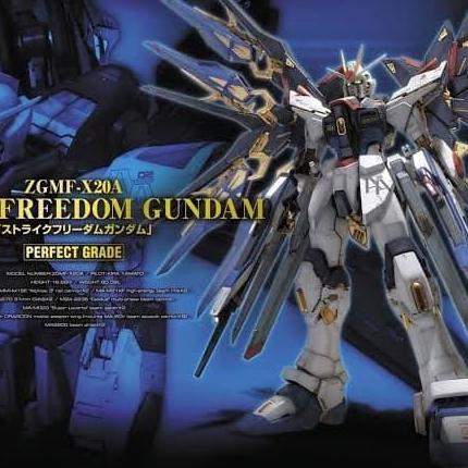 PG 1/60 Strike Freedom Gundam Bandai Perfect Grade SALE