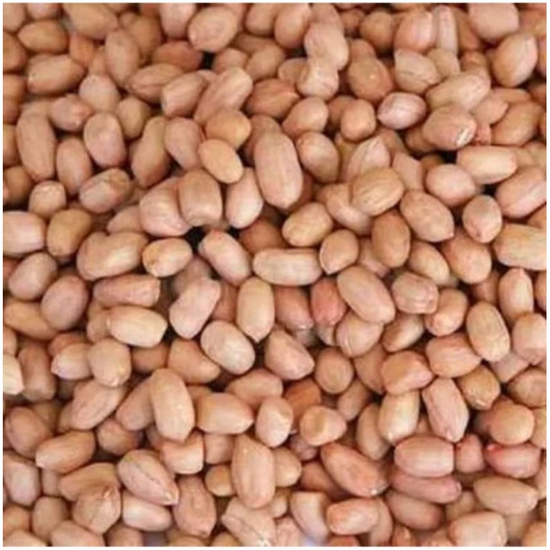 

kacang tanah kwalitas ok 500g