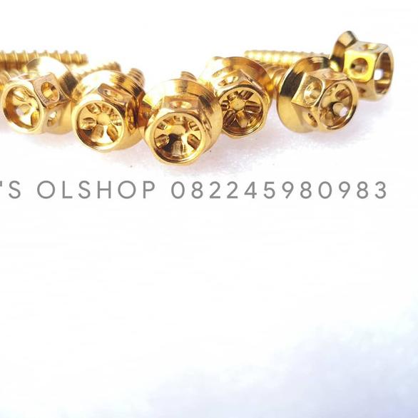 Baut Probolt Gold Untuk Baut Cover Filter Vario 125, 150 & PCX CBU