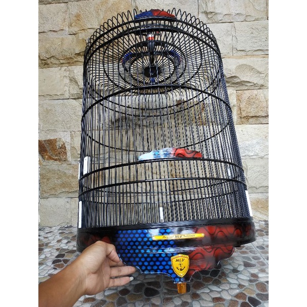sangkar burung murai / kandang murai / sangkar murai / sangkar burung / kandang murai