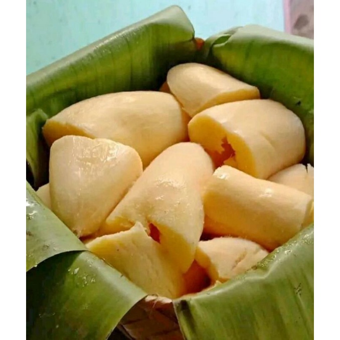 

tape gembong Asli