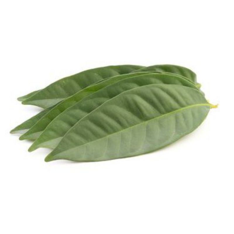 

daun salam perikat