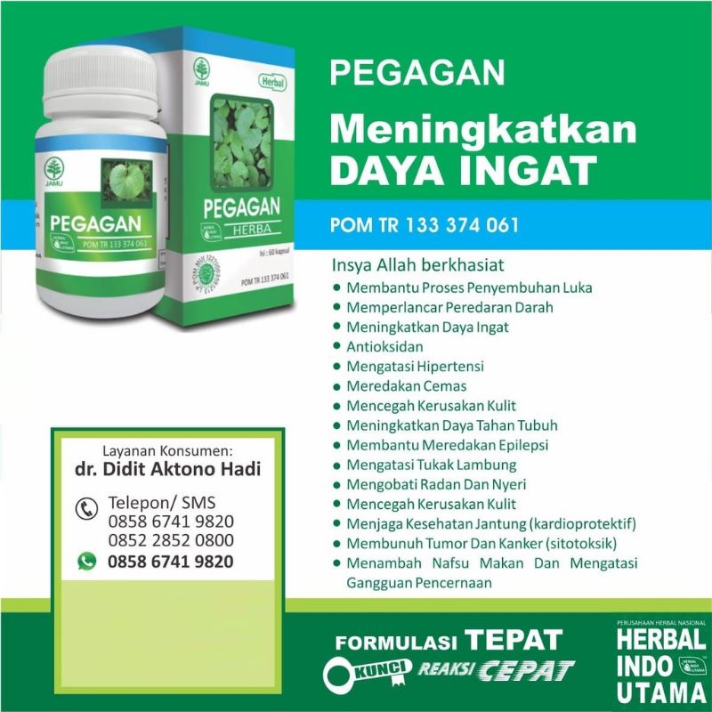 Kapsul Pegagan Hiu - Herbal Pegagan isi 60 kapsul