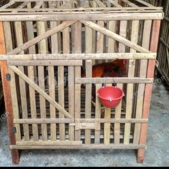 kandang bambu ayam bangkok - V.1