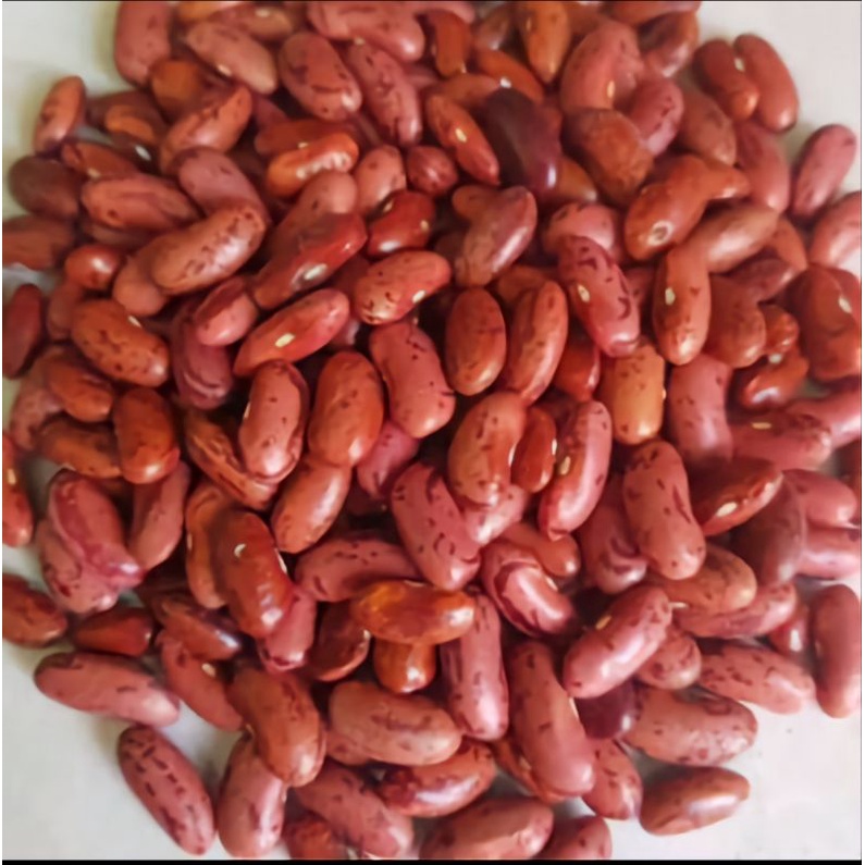 Kacang merah Organik 500gr kwalitas bagus