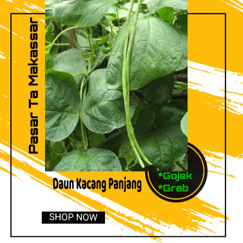 

Perikat Daun Kacang Panjang / Lembayung